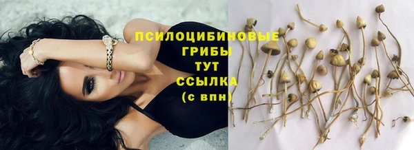 твердый Алзамай